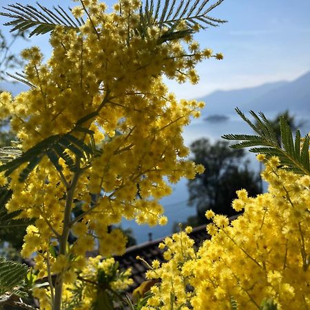 Bnb122 Bed&Breakfast Ascona Exterior foto